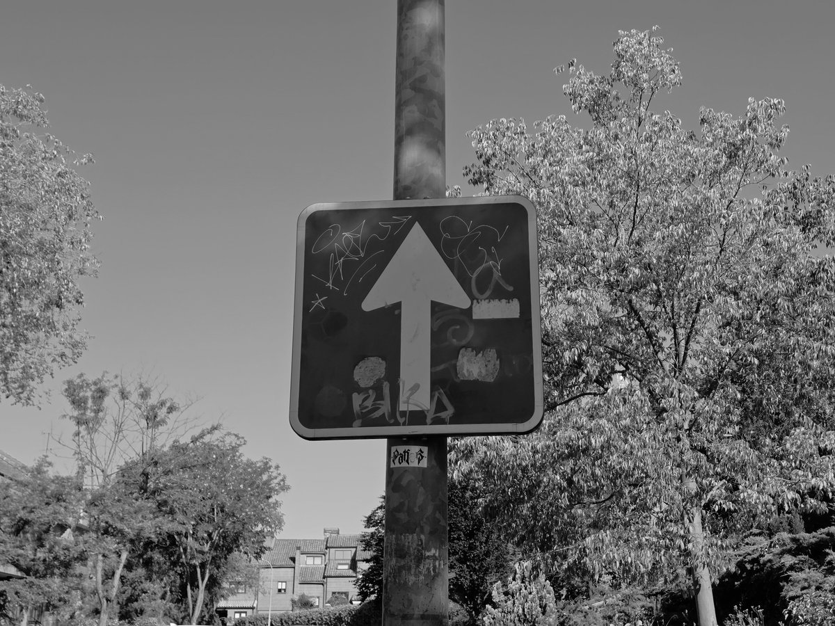 Jose Morales Ros tweet media