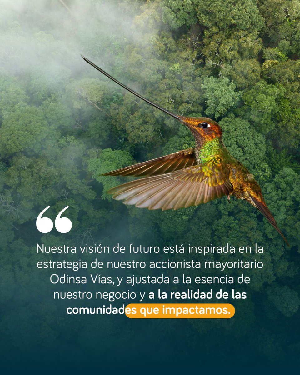 🌿 Cuando el compromiso con el territorio se convierte en acción, nacen alianzas que transforman.

Junto <a href="/ConcesionTAO/">Concesión Túnel Aburrá Oriente</a> trabajamos por un modelo de sostenibilidad que conecta empresas, comunidades y ecosistemas. A través de BancO2 Plus y la metodología REDD+, seguimos construyendo