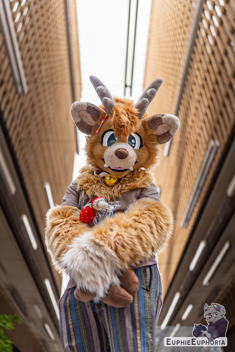 Jerb ๐ฆ ๐ FWA (@imjerb) on Twitter photo Iโm afraid Iโm serving cutie patootie realness this #FursuitFriday
๐ชก - <a href="/Bloodng0ld/">Cassidy โ</a>
๐ธ - <a href="/EuphieEuphoria/">Euphoria ๎จ</a> Iโm afraid Iโm serving cutie patootie realness this #FursuitFriday
๐ชก - <a href="/Bloodng0ld/">Cassidy โ</a>
๐ธ - <a href="/EuphieEuphoria/">Euphoria ๎จ</a>