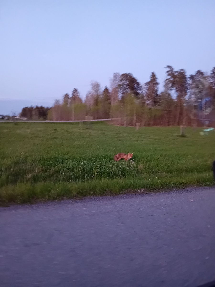 Jouni Mänty 🇺🇦🇮🇱 tweet media