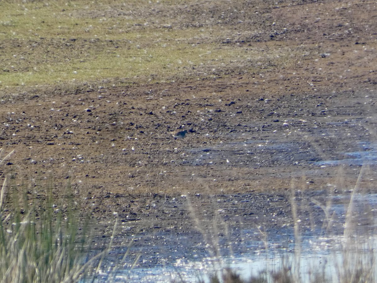 Connor Fraser tweet media