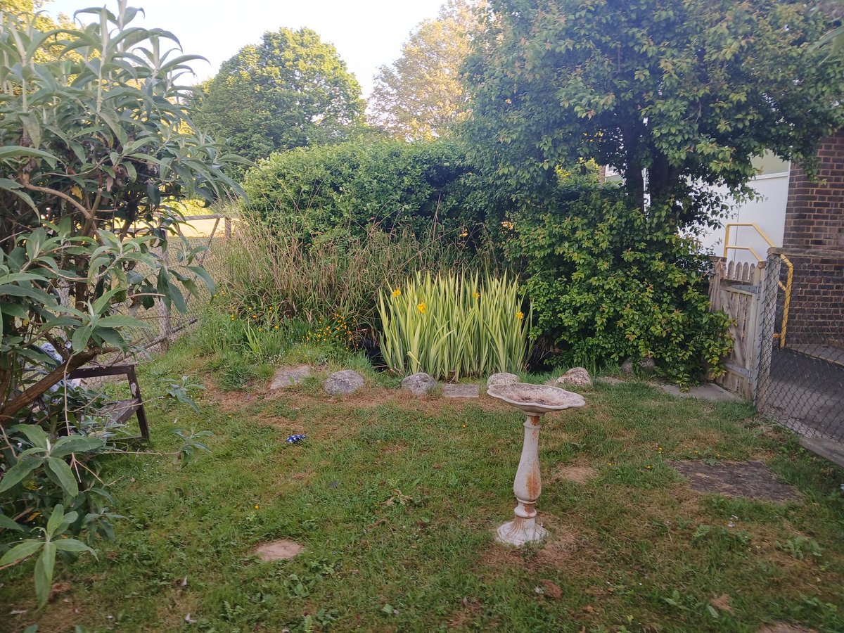 StAugustinesTW's tweet image. Our beautiful pond. Huge thanks to Micheal, our caretaker for taking care of it.@kcsp_academies @RC_Southwark @rcaoseducation