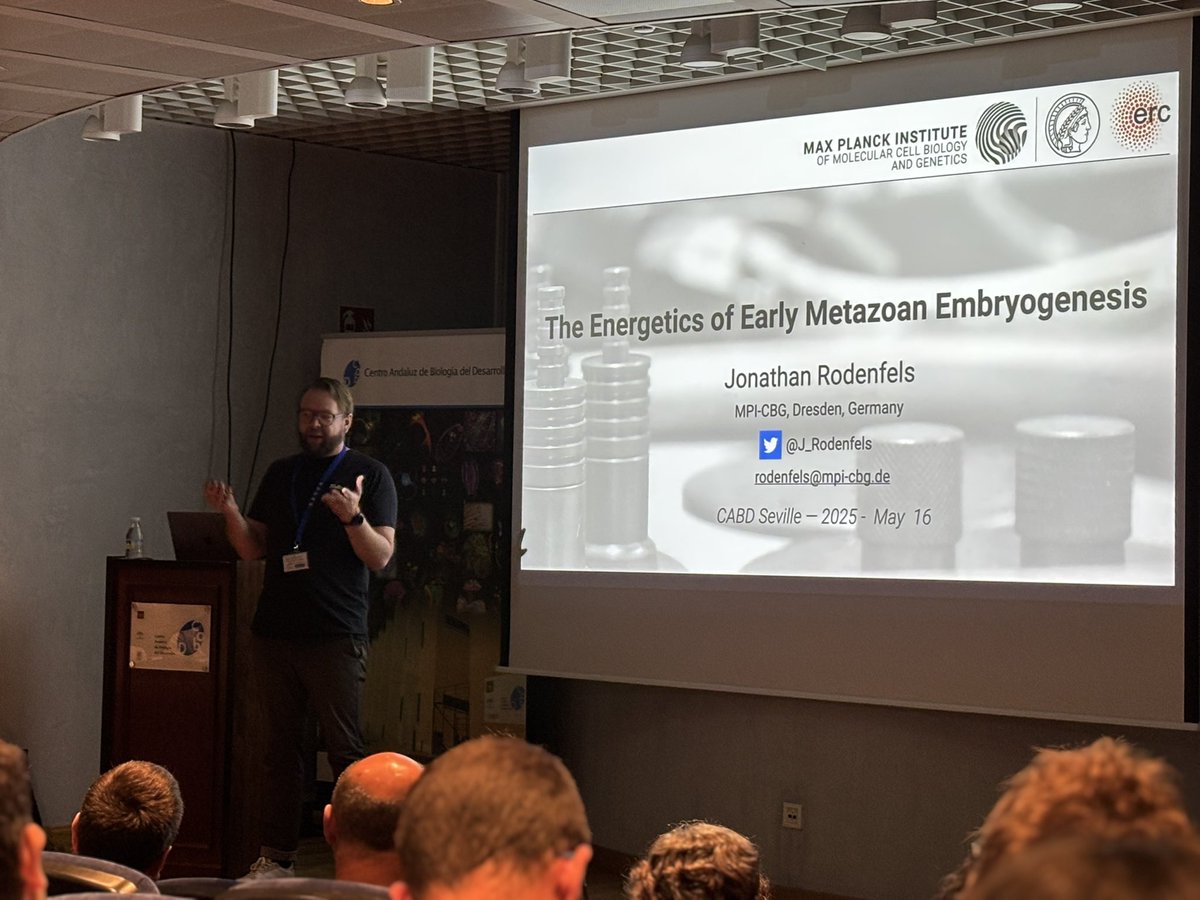 Centro Andaluz de Biología del Desarrollo (@cabd_upo_csic) on Twitter photo Amazing talk at #CABDseminars by <a href="/J_Rodenfels/">Jonathan Rodenfels</a>! Jonathan explained the last research from his group understanding the energetics of early metazoan embryogenesis. Dr. Rodenfels was hosted by <a href="/gloriabreacalvo/">Gloria Brea Calvo</a>
Thanks for coming Jonathan! Amazing talk at #CABDseminars by <a href="/J_Rodenfels/">Jonathan Rodenfels</a>! Jonathan explained the last research from his group understanding the energetics of early metazoan embryogenesis. Dr. Rodenfels was hosted by <a href="/gloriabreacalvo/">Gloria Brea Calvo</a>
Thanks for coming Jonathan!