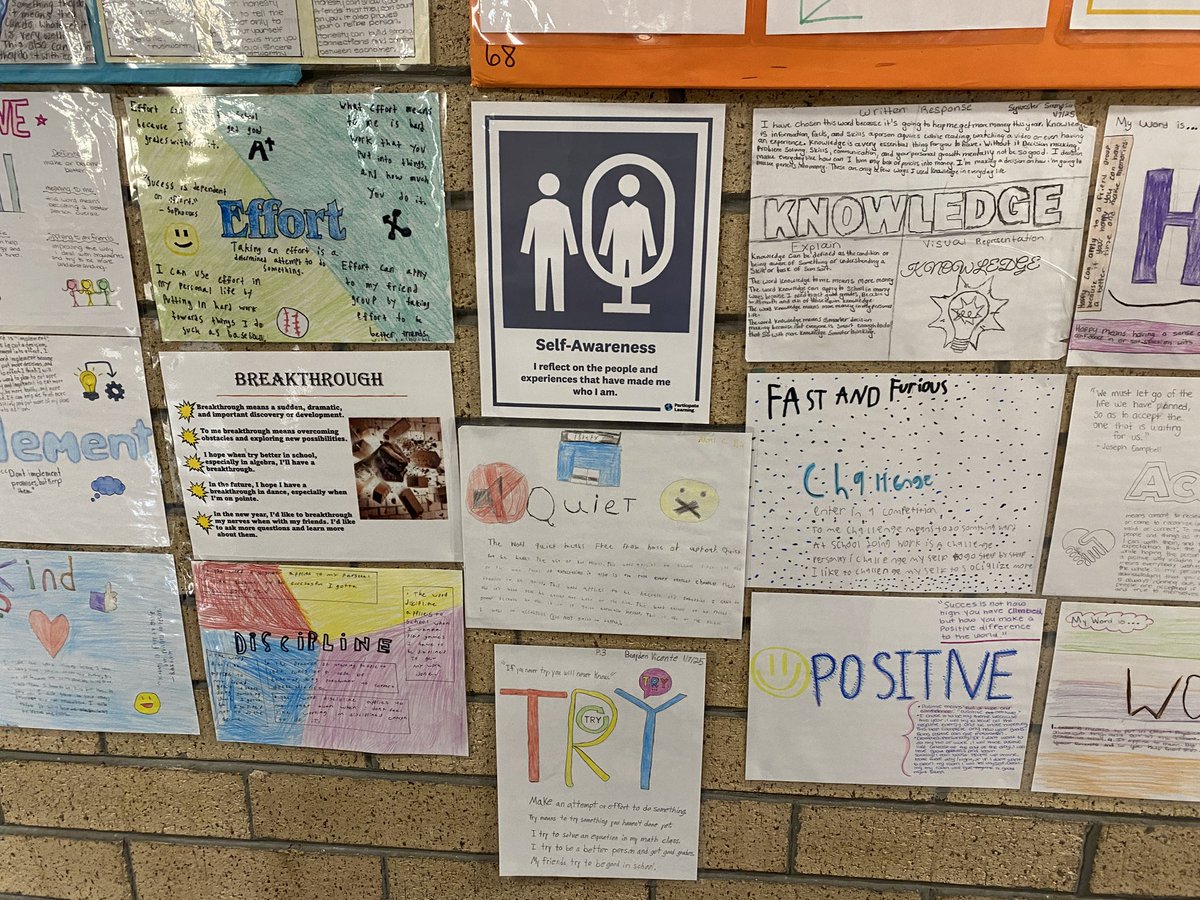 Lindsey Harrison, M.Ed, MAT tweet media