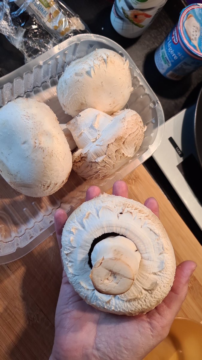 Lady Shiru tweet media