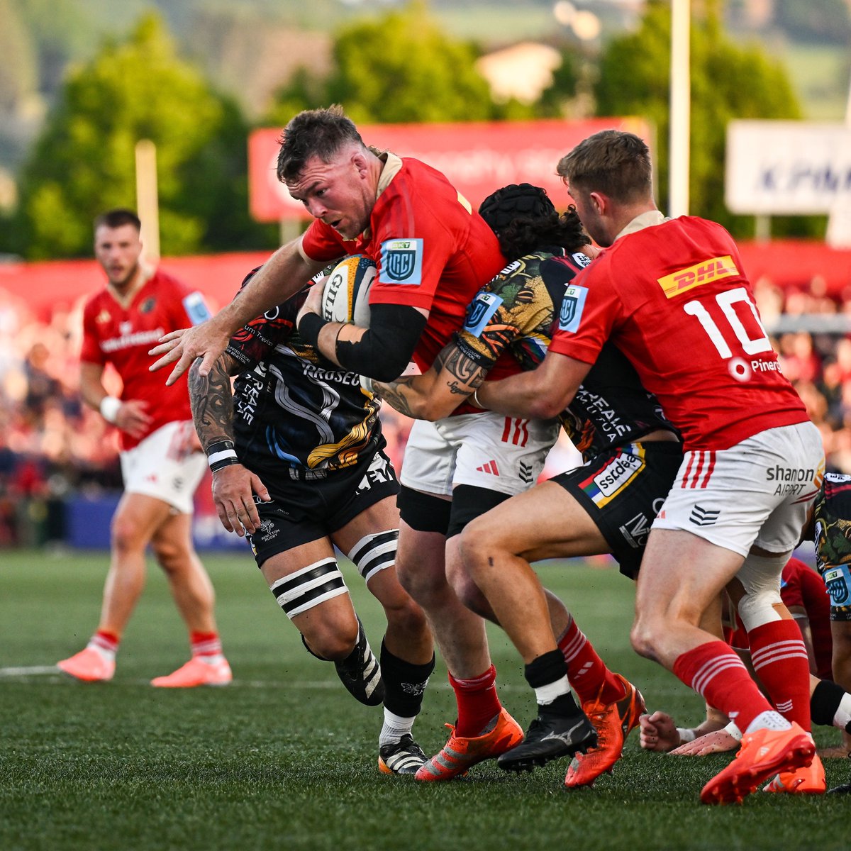 Colm Kinsella tweet media