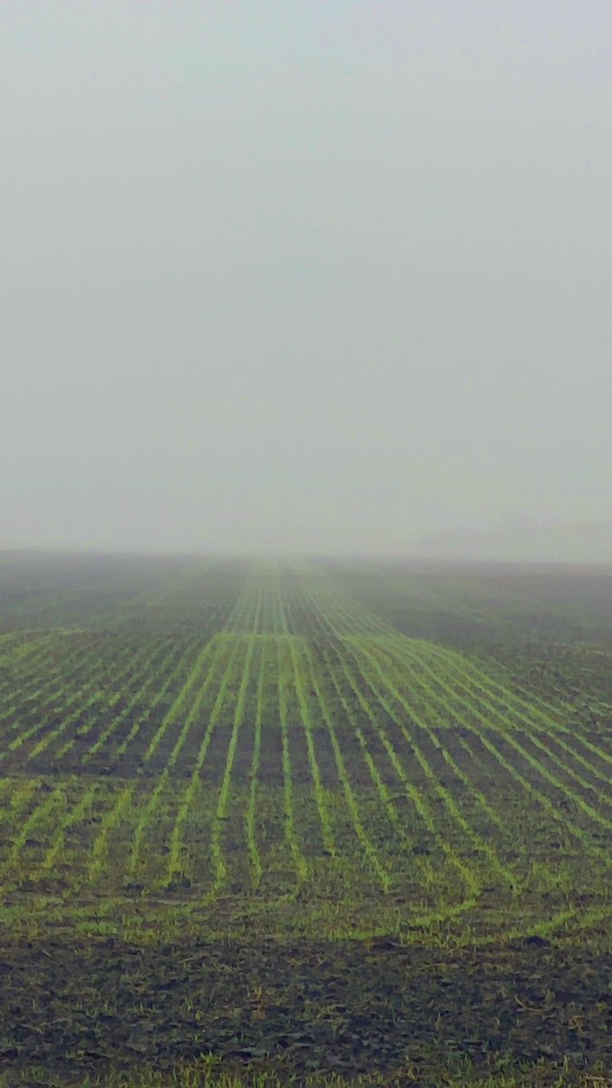 D 👈👈👈👈 tweet media