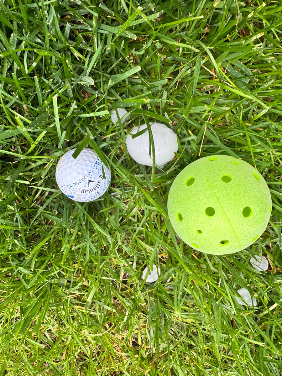 Sherry Pang ☮️ tweet media