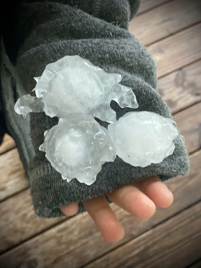 firefighter6276's tweet photo. @NWSLouisville @nwsjacksonky @Kentuckyweather Gail Vickers sent these photos from the Tyner Lake area of Jackson County. This was from the severe thunderstorm that moved through around 9am this morning. she said there were bigger ones, but she was afraid to go out into the yard. https://t.co/spG7dV1qv1