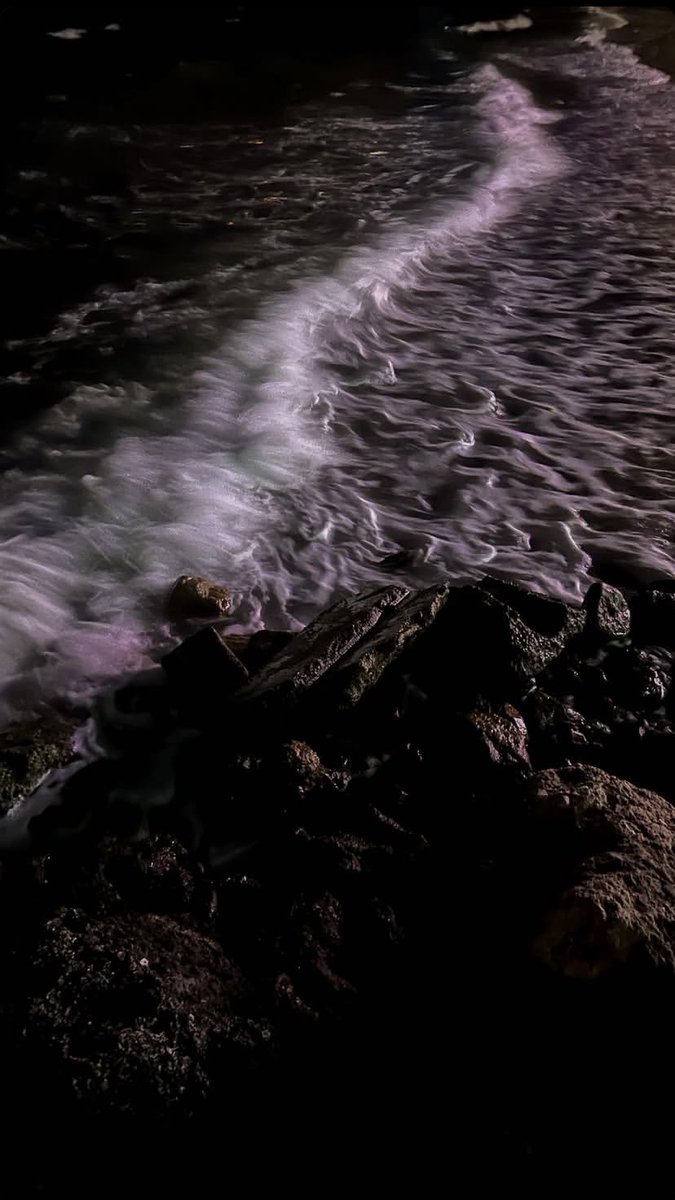 ملتقانا غدأ …