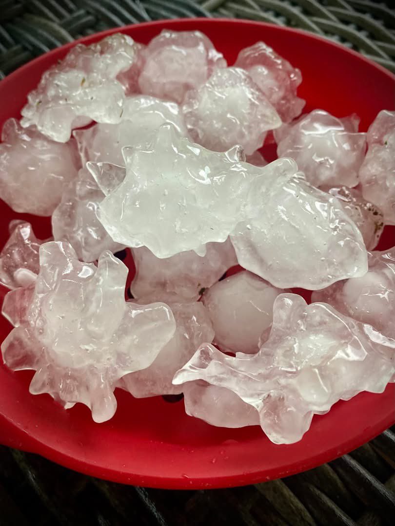 firefighter6276's tweet photo. @ryanhallyall Gail Vickers sent in these photos from the Tyner Lake area of Jackson County. This was from the severe thunderstorm that moved through around 9am this morning. she said there were bigger ones, but she was afraid to go out into the yard to get them for the lightening https://t.co/xobIkB7DRW