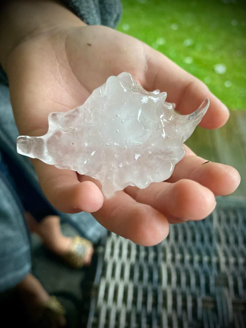 firefighter6276's tweet photo. @ryanhallyall Gail Vickers sent in these photos from the Tyner Lake area of Jackson County. This was from the severe thunderstorm that moved through around 9am this morning. she said there were bigger ones, but she was afraid to go out into the yard to get them for the lightening https://t.co/xobIkB7DRW