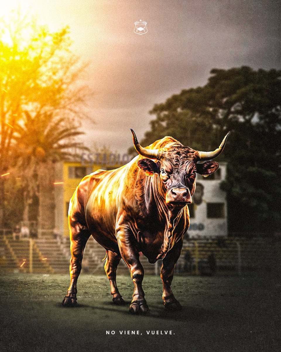 🐂 𝐓𝐨𝐫𝐚𝐳𝐨 en rodeo propio 

👀 No viene, vuelve.