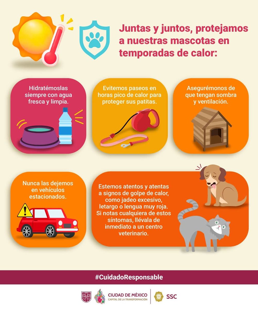 DirPCAzcapo's tweet image. ☀️🐶🐱 ¡Mucho ojo con el calor y nuestras mascotas!

Protégelas con estos tips:

💧 Hidratalos con agua fresca
🚫 No paseos en horas pico
🌳 Sombra y ventilación
🚗 ¡Nunca en autos cerrados!
⚠️ Si jadea mucho, está muy roja o decaída: ¡Acudan al veterinario!

#CuidadoResponsable