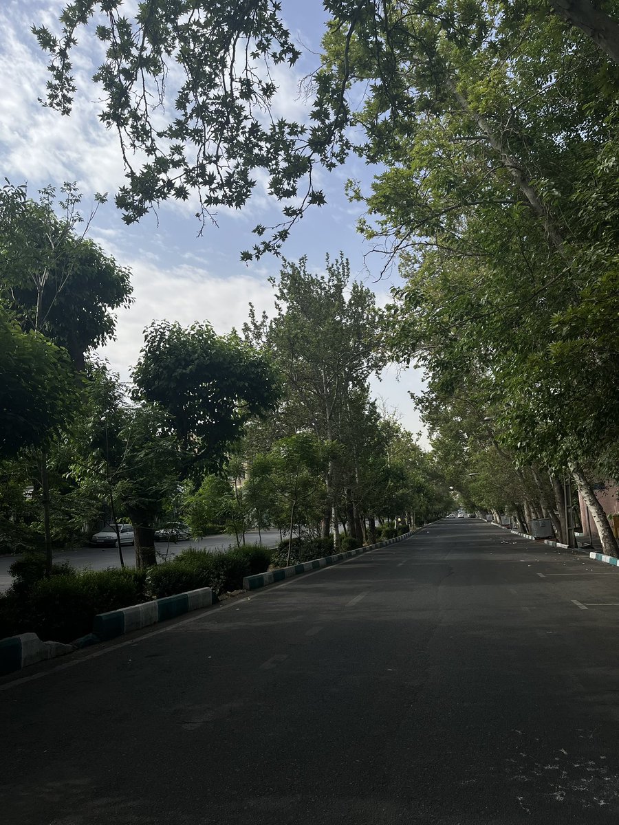 در تلاشم سخت نگیرم، اینطوری انگار بهتر میگذره