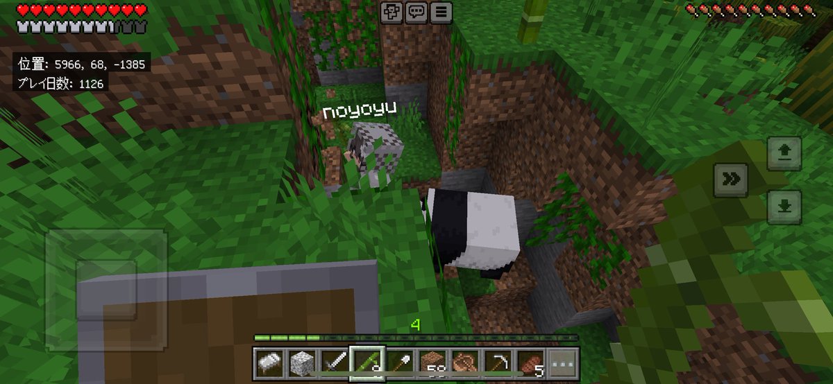 chu_nosuke86's tweet image. しばのの🎀の、パンダ愛🐼🐾
パンダ追いかけてたら一緒に穴に落ちたらしくて、一生懸命救助してた🙂‍↕️