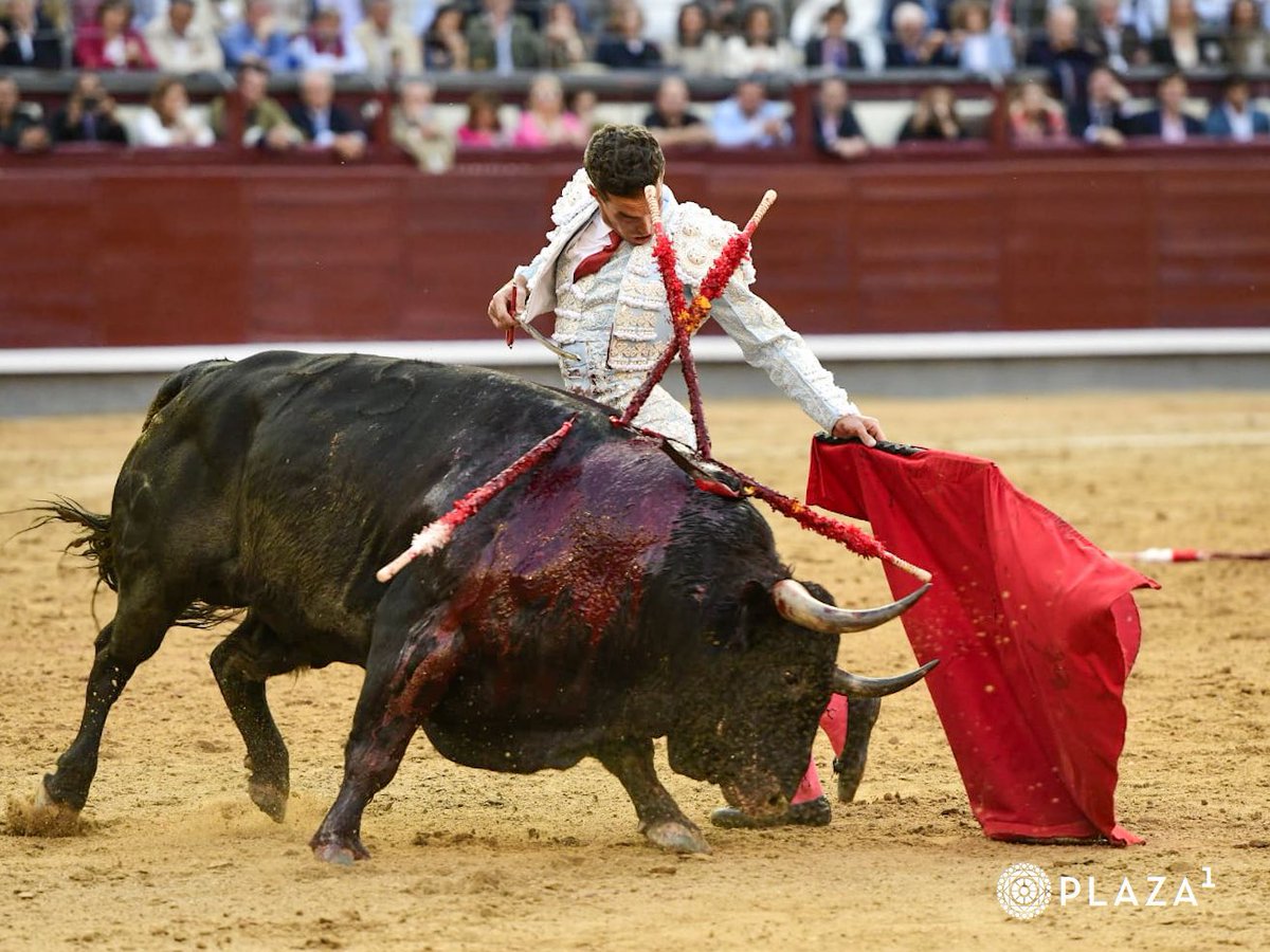 👉 Adrián ha escrito un crimen | La opinión de la 7ª de abono de la feria de San Isidro en enTendido, mi canal de WhastApp. Entra y sígueme 

🔗 whatsapp.com/channel/0029Va…