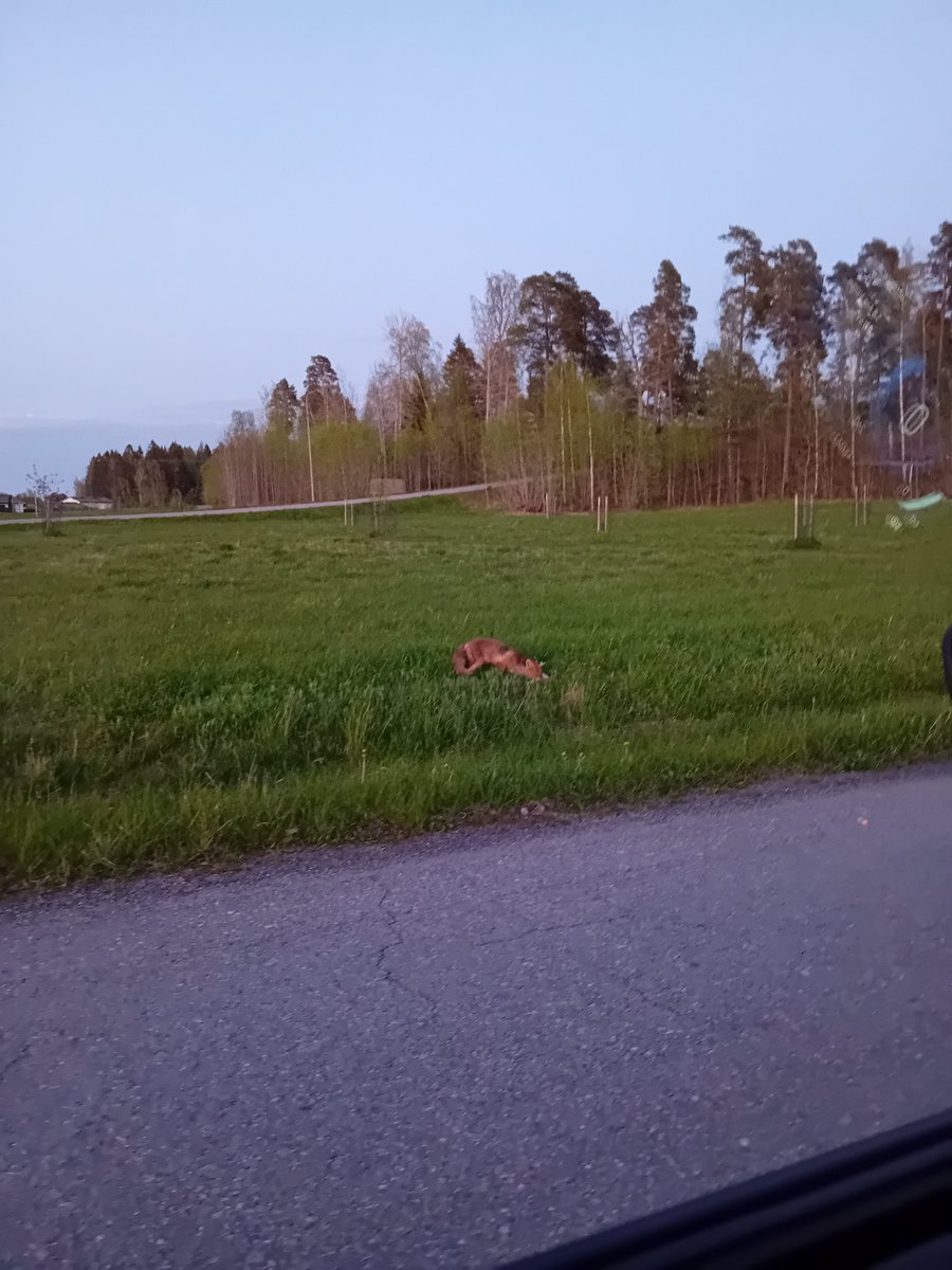 Jouni Mänty 🇺🇦🇮🇱 tweet media