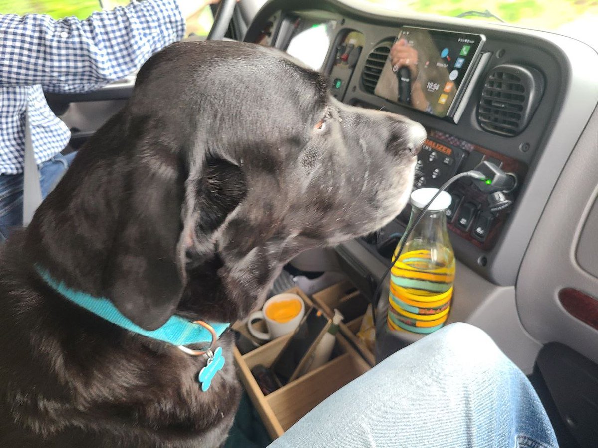 Spent yesterday driving up to Bigfork, Montana.
Don't ever assume your cell phone coverage is always what they show you on a map!

Teddy had to provide directions for a while until we got to our destination.  Good thing he had a nose for which way to go.

13 more days until the