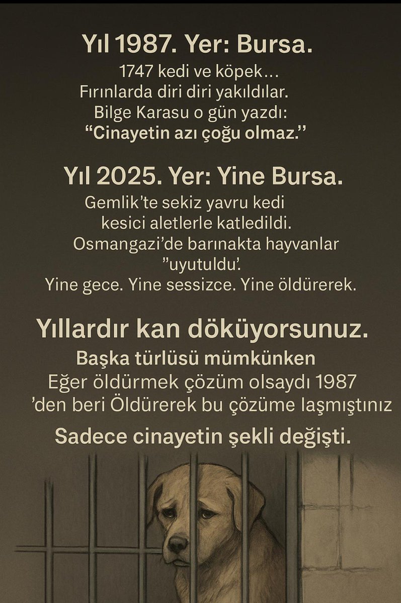 Yıl 1987. Yer: Bursa.
1747 kedi ve köpek diri diri fırınlarda yakıldı.
Bilge Karasu yazdı: “Cinayetin azı çoğu olmaz.”

Yıl 2025. Yer: Yine Bursa.
 Barınakta “uyutmalar” başladı.
Yine gece. Yine sessiz. Yine öldürerek.

Sadece cinayetin şekli değişti.

#HayvanaAdalet