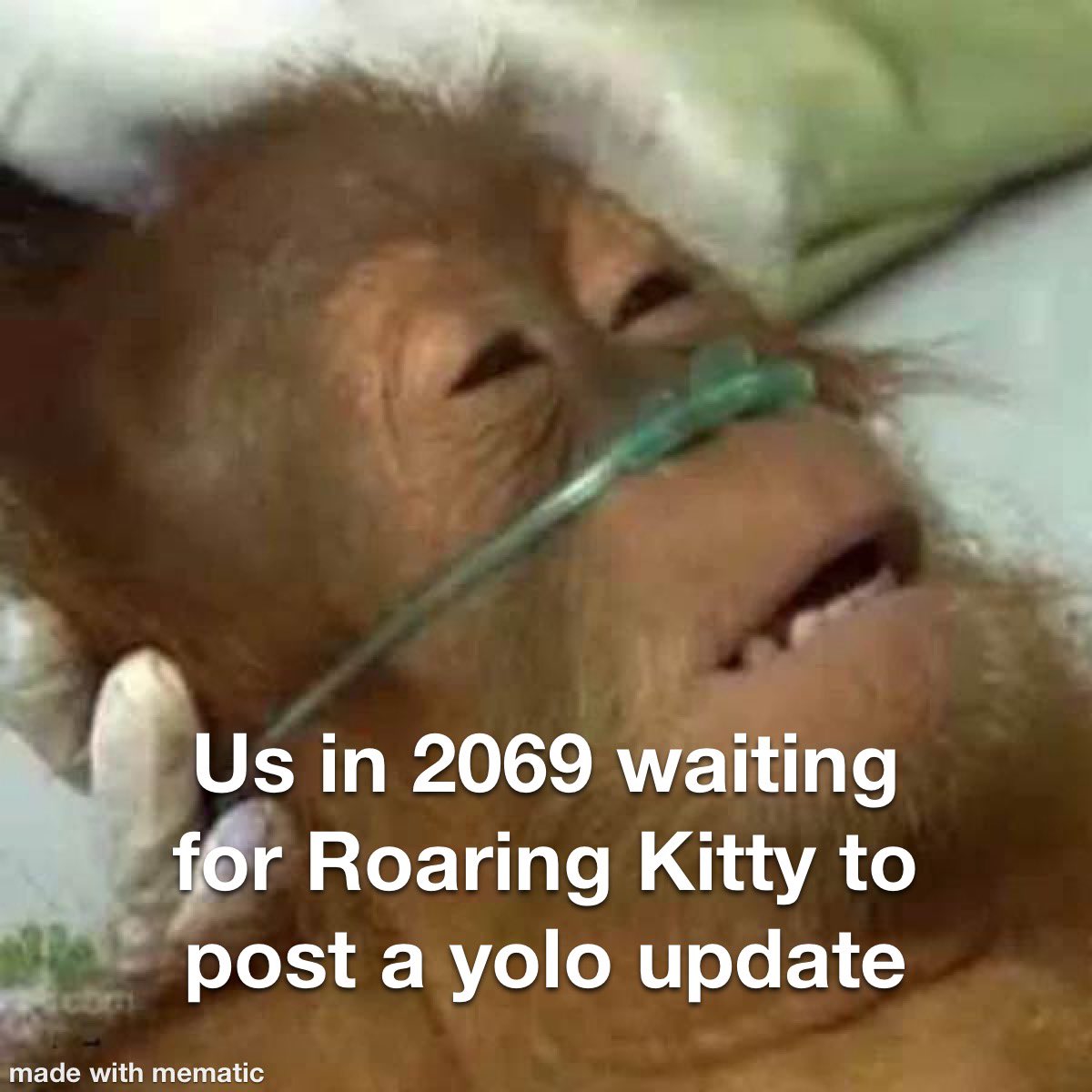 GregIsKitty's tweet photo. Any second now… any second…

 $GME GameStop @TheRoaringKitty https://t.co/ql7X7tuIU0