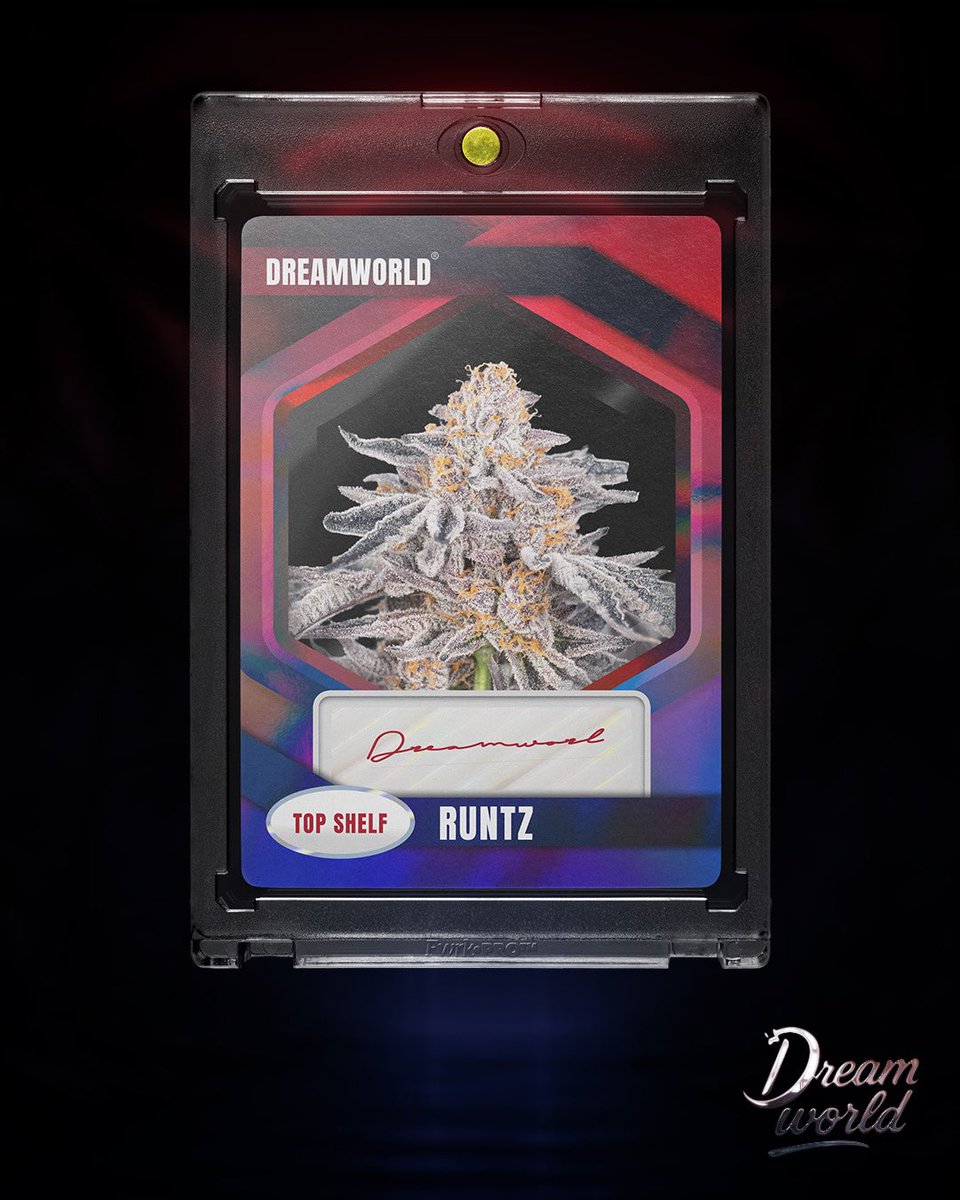 RUNTZ X DREAMWORLD