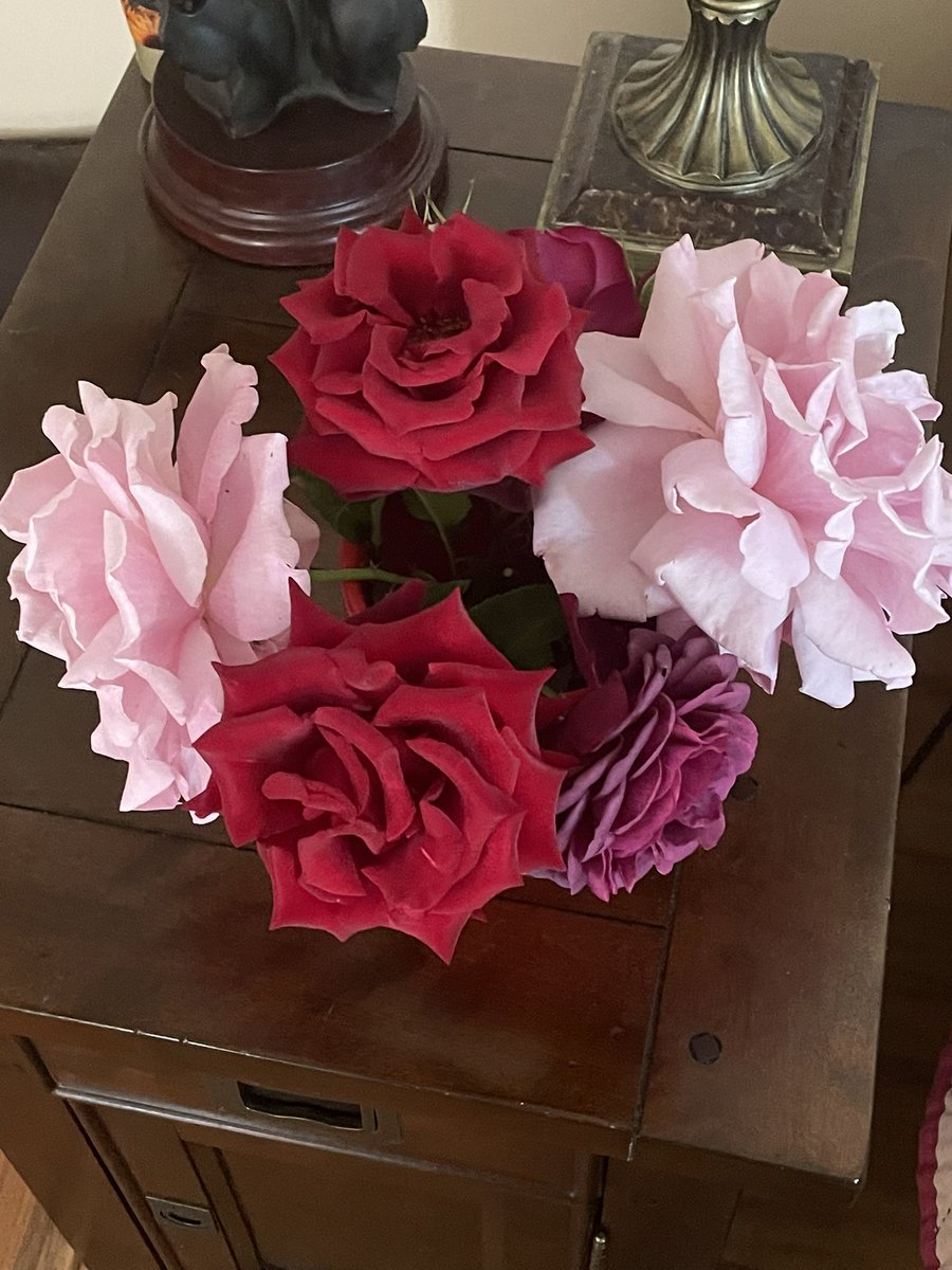 My bouquet for today. A rose garden brings joy and peace to my mornings. While the gentle scent of each flower whispers  a promise to my soul.