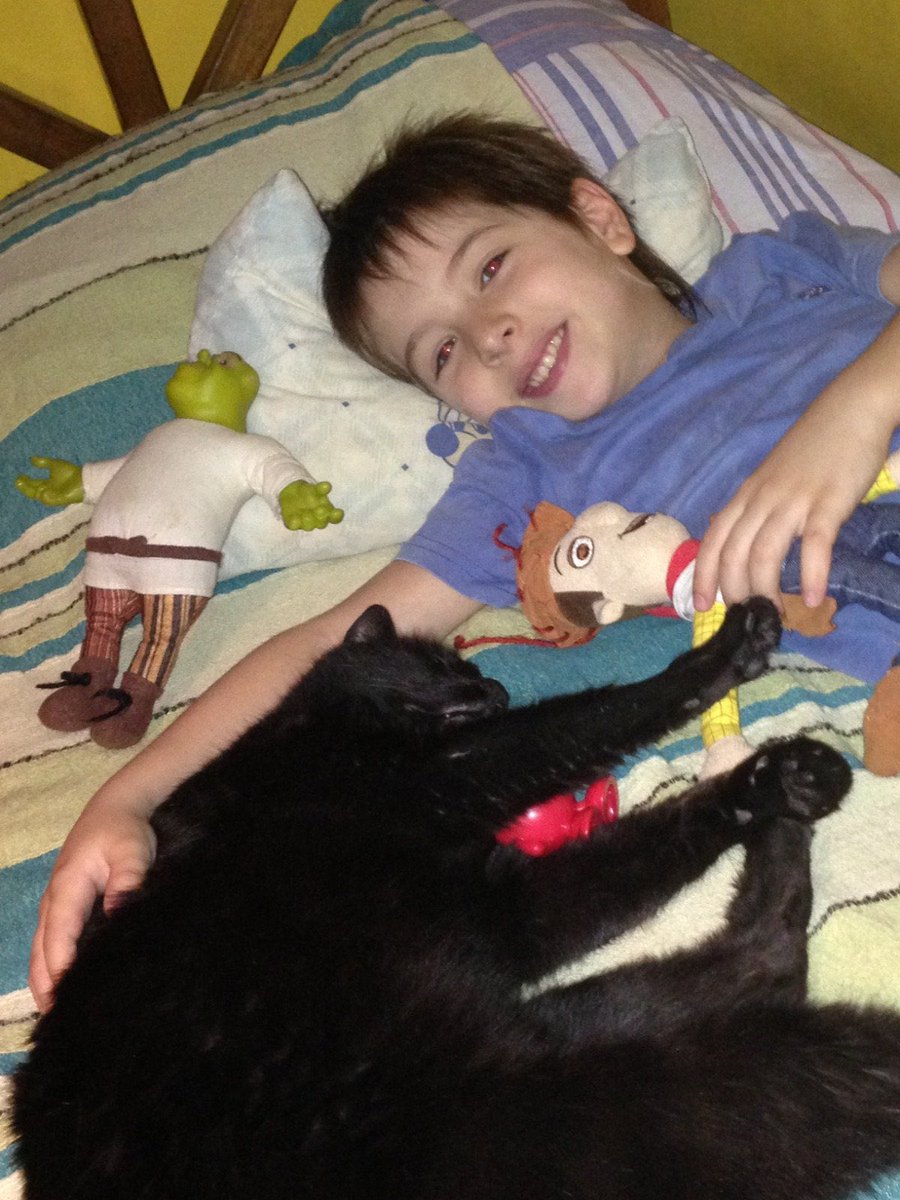 FeliShedd's tweet photo. Hoy, año y medio después que a mi Guido, me toca despedirte a vos también Frida, mi gordita que tanto amor nos repartió junto a Guido y que espero los 2 estén ahora mismo reencontrándose y descansando en paz cuidándose el uno al otro. Los amo infinito estén donde estén ❤️ https://t.co/fysN9jxMjV