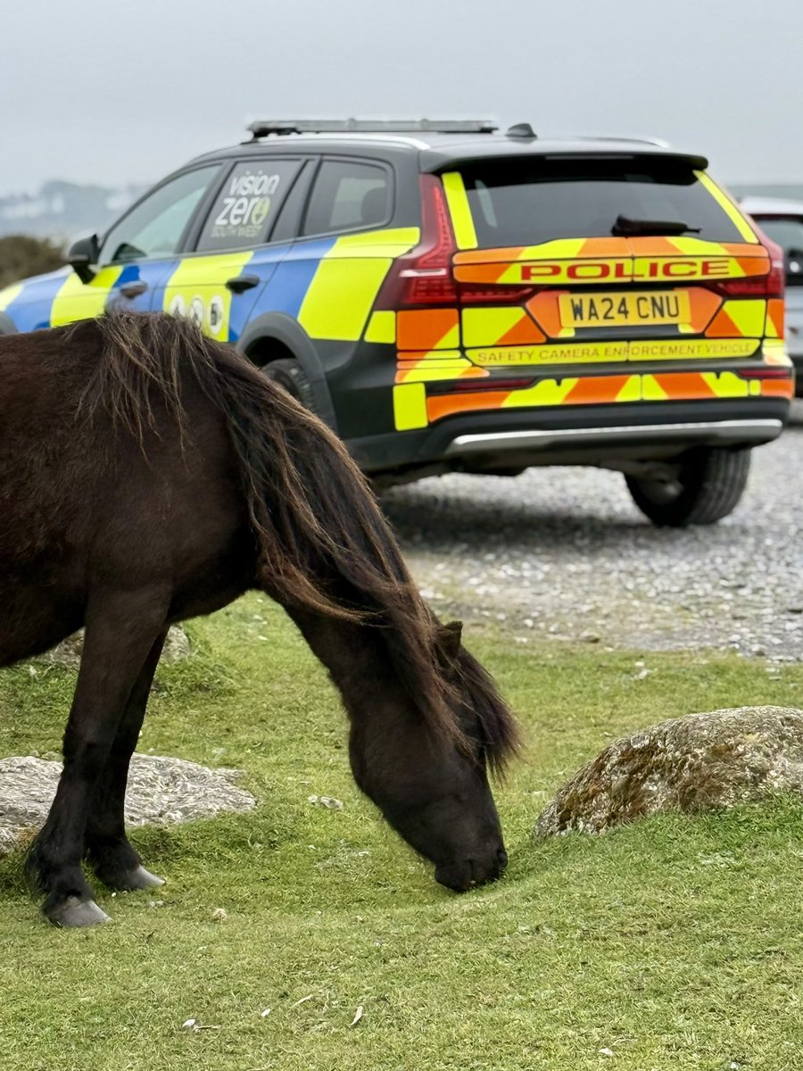 DCP South Devon Specials (@southdevon_sc) on Twitter photo 10 of the team out and about over the weekend on patrol with #Neighbourhood and #EmergencyResponse teams. #Dartmouth #Torbay #NewtonAbbot #Ivybridge #Teignmouth 🚔 <a href="/DC_Police/">Devon & Cornwall Police</a> 10 of the team out and about over the weekend on patrol with #Neighbourhood and #EmergencyResponse teams. #Dartmouth #Torbay #NewtonAbbot #Ivybridge #Teignmouth 🚔 <a href="/DC_Police/">Devon & Cornwall Police</a>