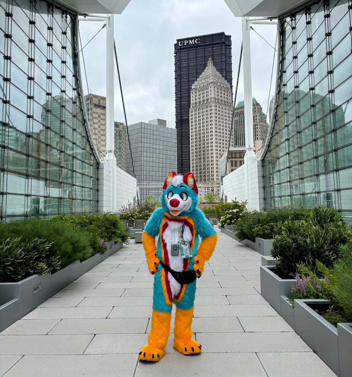 FluffyHusky88's tweet photo. Time off has been secured, so I can now confirm Iβm planning on heading back to Pittsburgh this July for #Anthrocon2025! π
Still in search of room space, if any moots might have space for a husky shoot me a DM. π
πΈ: @TuesdayOra at #AC24 https://t.co/Dx5NNvc33u