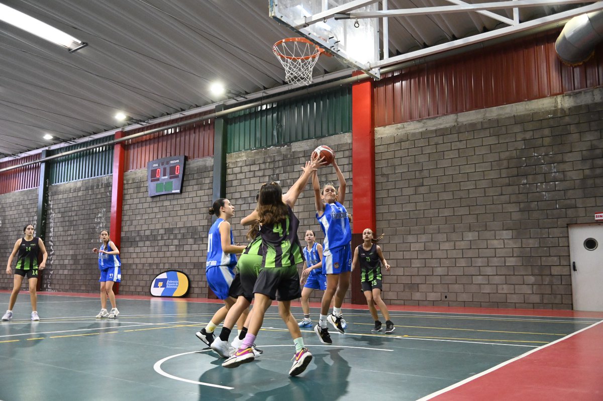FCBaloncesto's tweet photo. 🏆 #PreInfantilFem
🇮🇨 #CC2025

#BaloncestoEnPositivo #SomosCanarias #Baloncesto #Basketball #Basket #Deporte #Sport #Photography #SportPhotography https://t.co/jMbAky8lVH