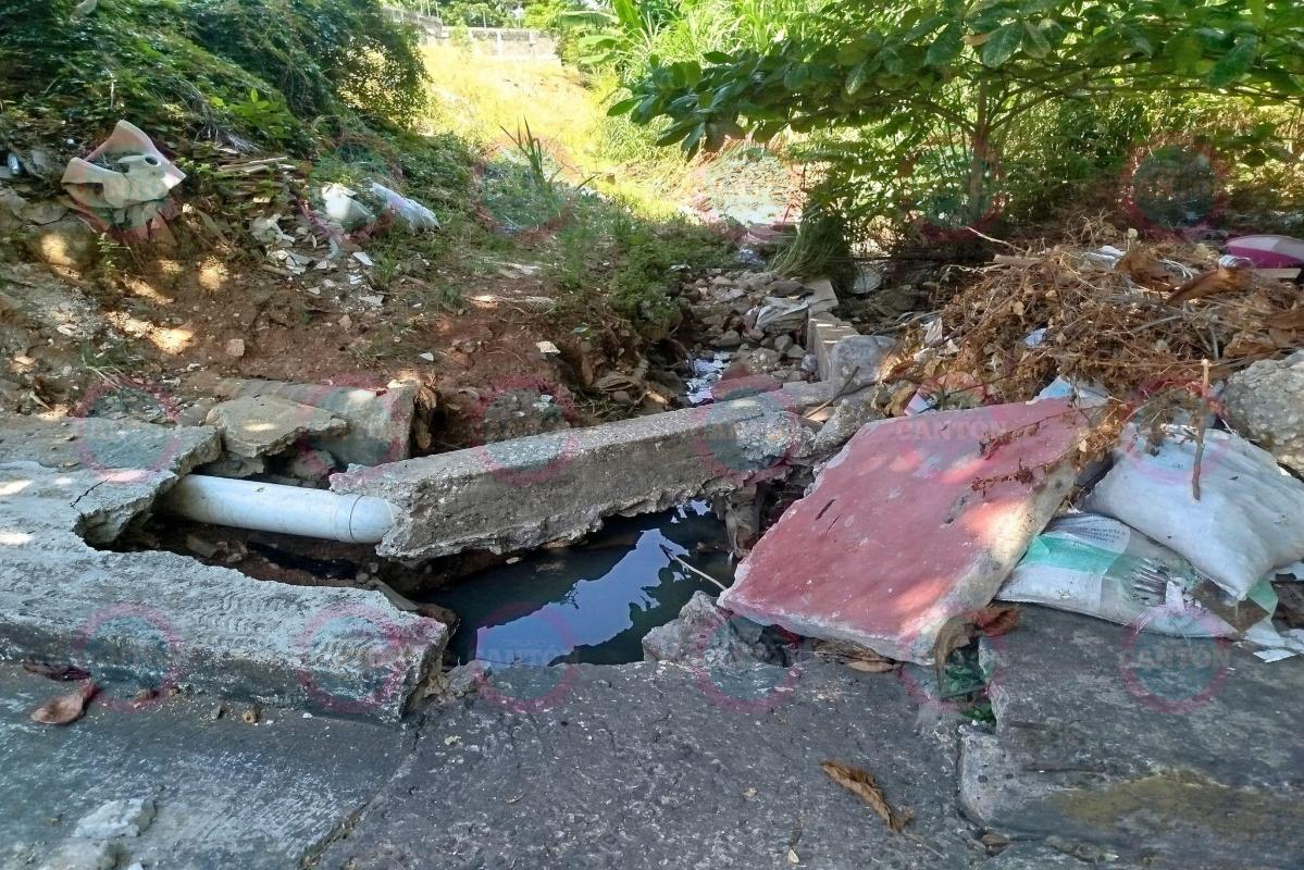 TabascoHOY's tweet photo. #ReporteTH🚨| Vecinos del boulevard Bonanza y esquina con calle 4 denuncian que lote baldío ya se ha convertido en basurero y fuga de agua negras, provocando malos olores y hogar de criaturas rastreras.
https://t.co/AMFwXSeC18 https://t.co/mWYj4nedEg