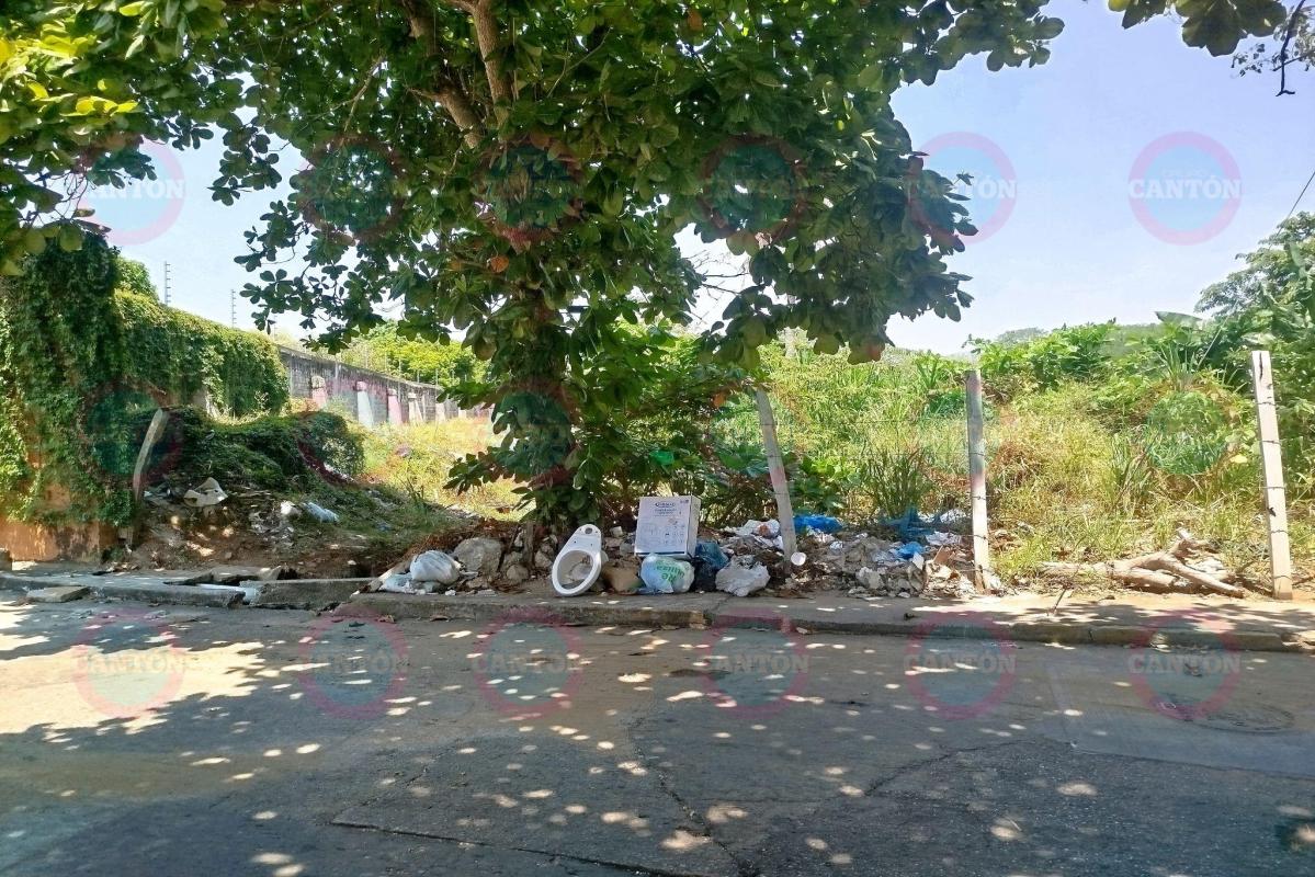 TabascoHOY's tweet photo. #ReporteTH🚨| Vecinos del boulevard Bonanza y esquina con calle 4 denuncian que lote baldío ya se ha convertido en basurero y fuga de agua negras, provocando malos olores y hogar de criaturas rastreras.
https://t.co/AMFwXSeC18 https://t.co/mWYj4nedEg