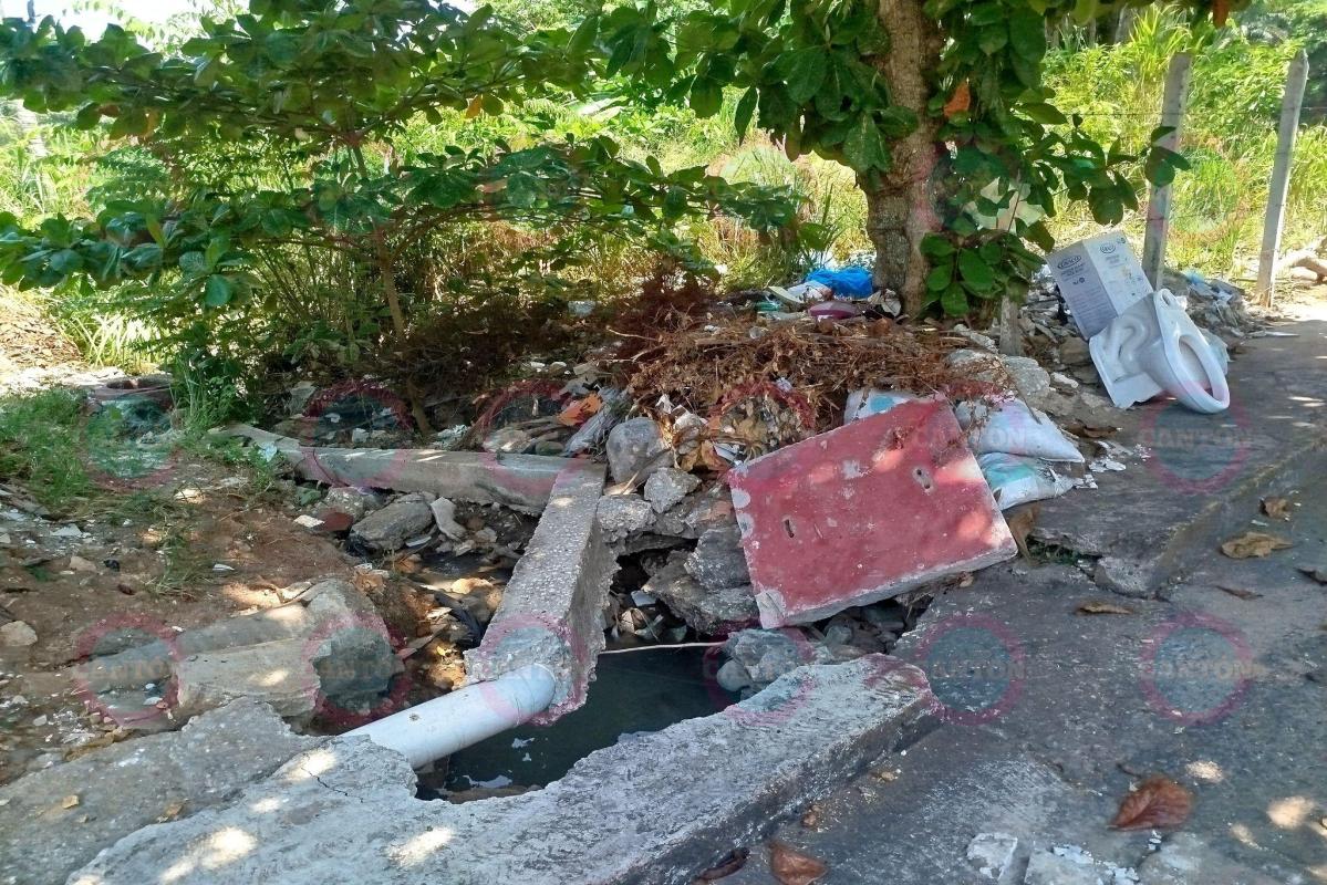 TabascoHOY's tweet photo. #ReporteTH🚨| Vecinos del boulevard Bonanza y esquina con calle 4 denuncian que lote baldío ya se ha convertido en basurero y fuga de agua negras, provocando malos olores y hogar de criaturas rastreras.
https://t.co/AMFwXSeC18 https://t.co/mWYj4nedEg