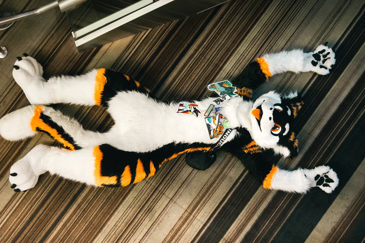 SilySox's tweet image. Looong Chez!! :&amp;gt;
📷 @hellasergals
#FursuitFriday #furry #fursuit