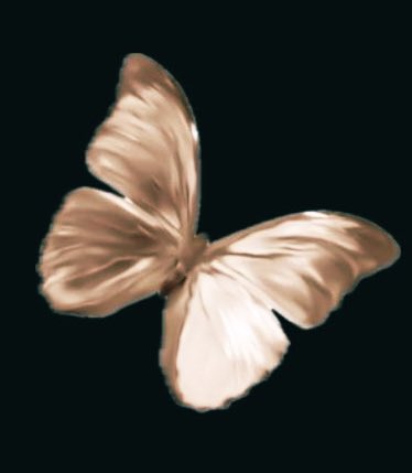themoon577's tweet photo. butterfly.. https://t.co/7ZDsSg72R8