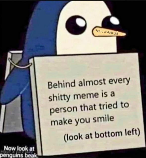 WholesomeMeme's tweet image. 