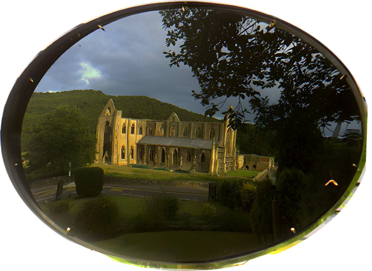 GurneyJourney's tweet image. For centuries artist have used darkened mirrors to help them view a real landscape to look like art.
open.substack.com/pub/jamesgurne…