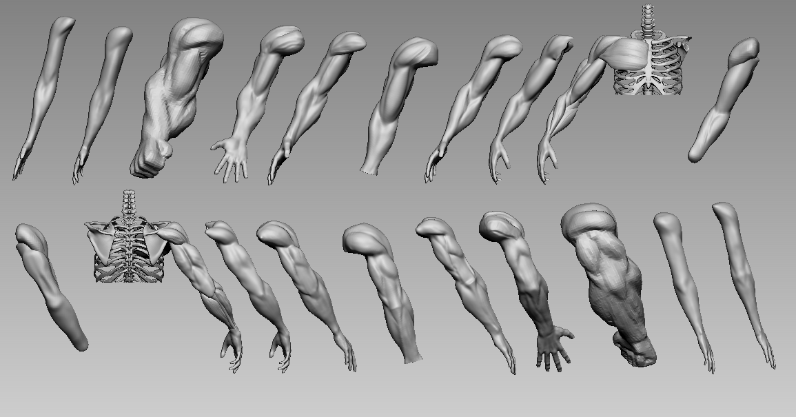 Tech_Snek's tweet photo. and more arms https://t.co/RTr6nWfYpI