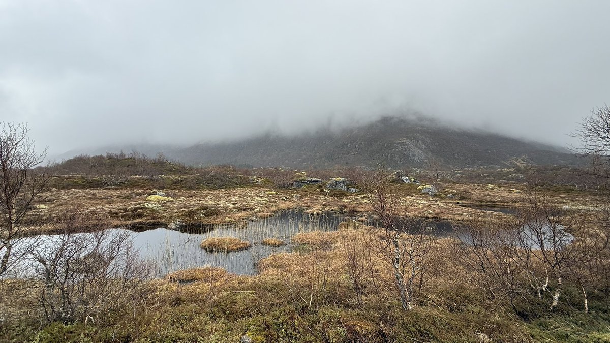 BustedSoles's tweet photo. In the morning, all mountaintops enshrouded in clouds and forecast not promising. Sticking to roads today too, but it’s clearly not the run I would want to have. The last bit to Svolvær on E10 is so busy, I decided to take a bus. Sleeping in Svolvær tonight. https://t.co/LZWnhX7ly1