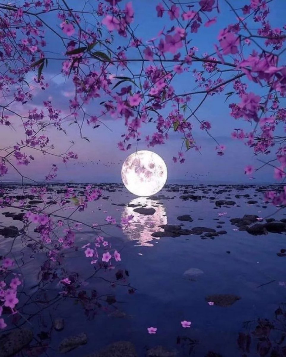 MOON LOVER tweet media