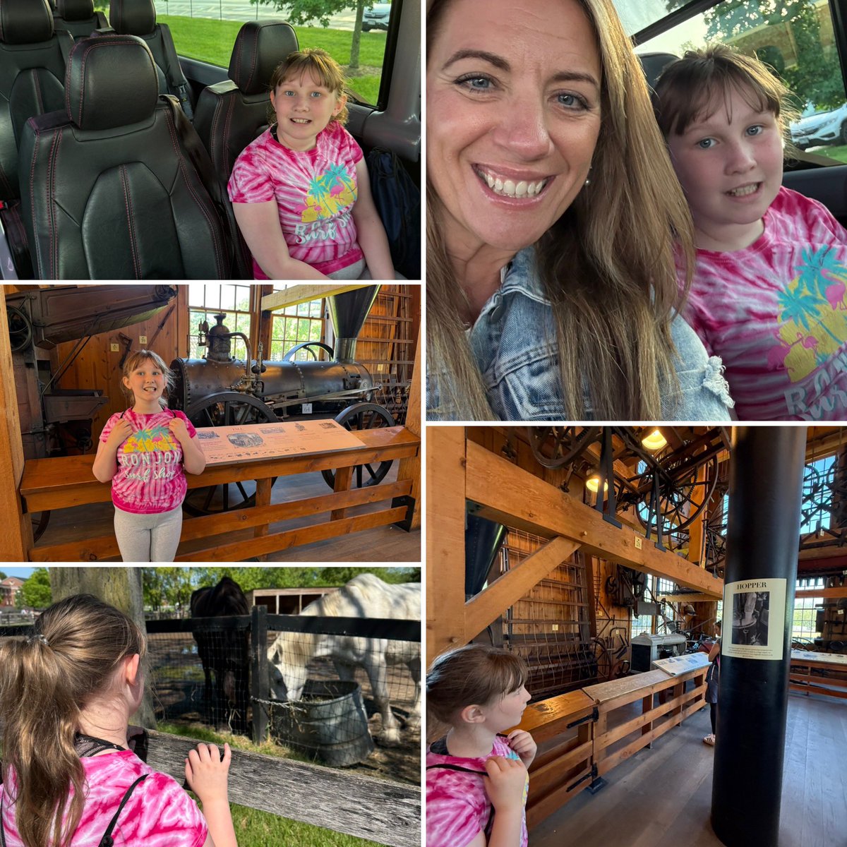 Mrs. Z’s Monarch Room Adventures tweet media