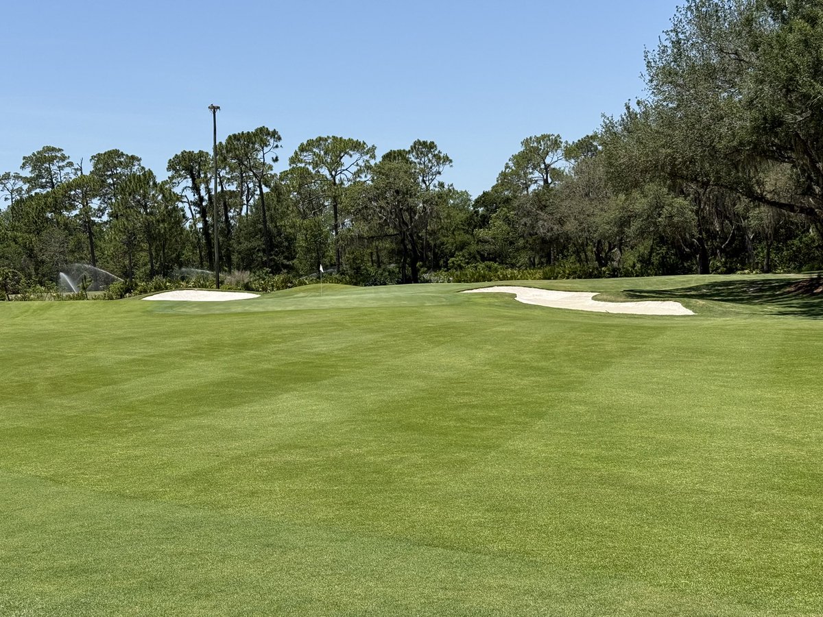 StephenTucker7's tweet photo. Closing in on one year since we did the Paspalum renovation of hole 11 @FSOrlando hard to argue with the quality of this turf. @PlatinumTE @Bvallison https://t.co/mkSfPVVgOl