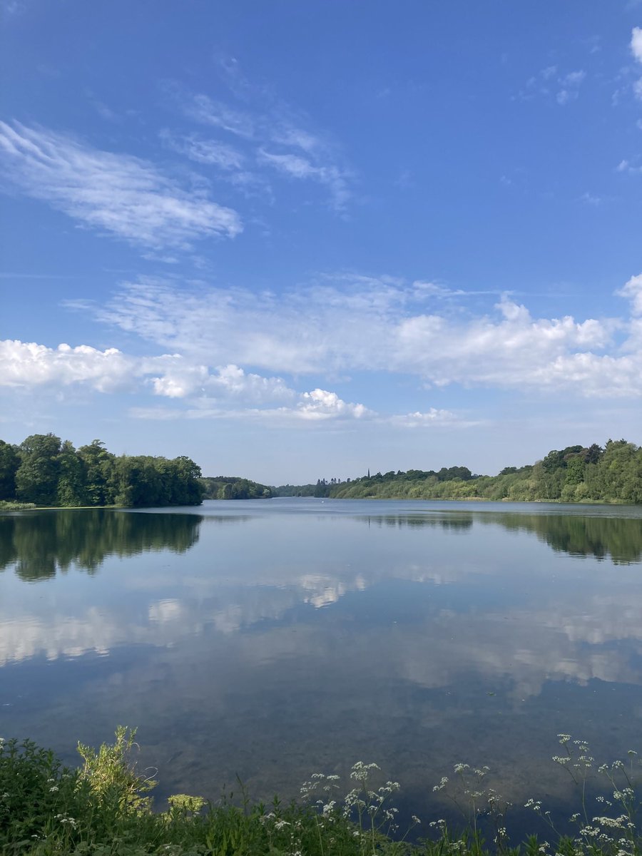 lm_orton's tweet photo. @LynnParsonsUK @NTClumberPark another beautiful day in my favourite place, Clumber Park in Nottinghamshire ☺️ https://t.co/w7OLRrsjfF