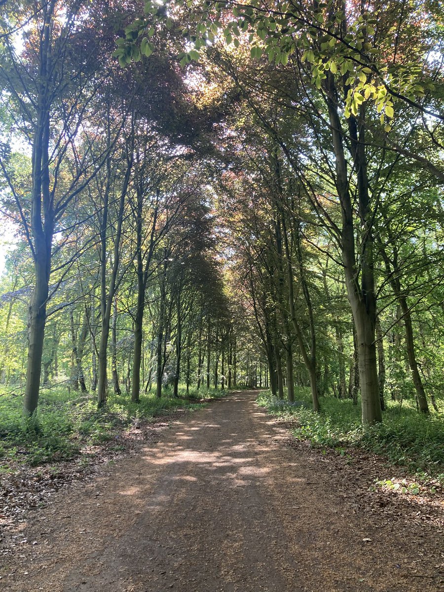 lm_orton's tweet photo. @LynnParsonsUK @NTClumberPark another beautiful day in my favourite place, Clumber Park in Nottinghamshire ☺️ https://t.co/w7OLRrsjfF