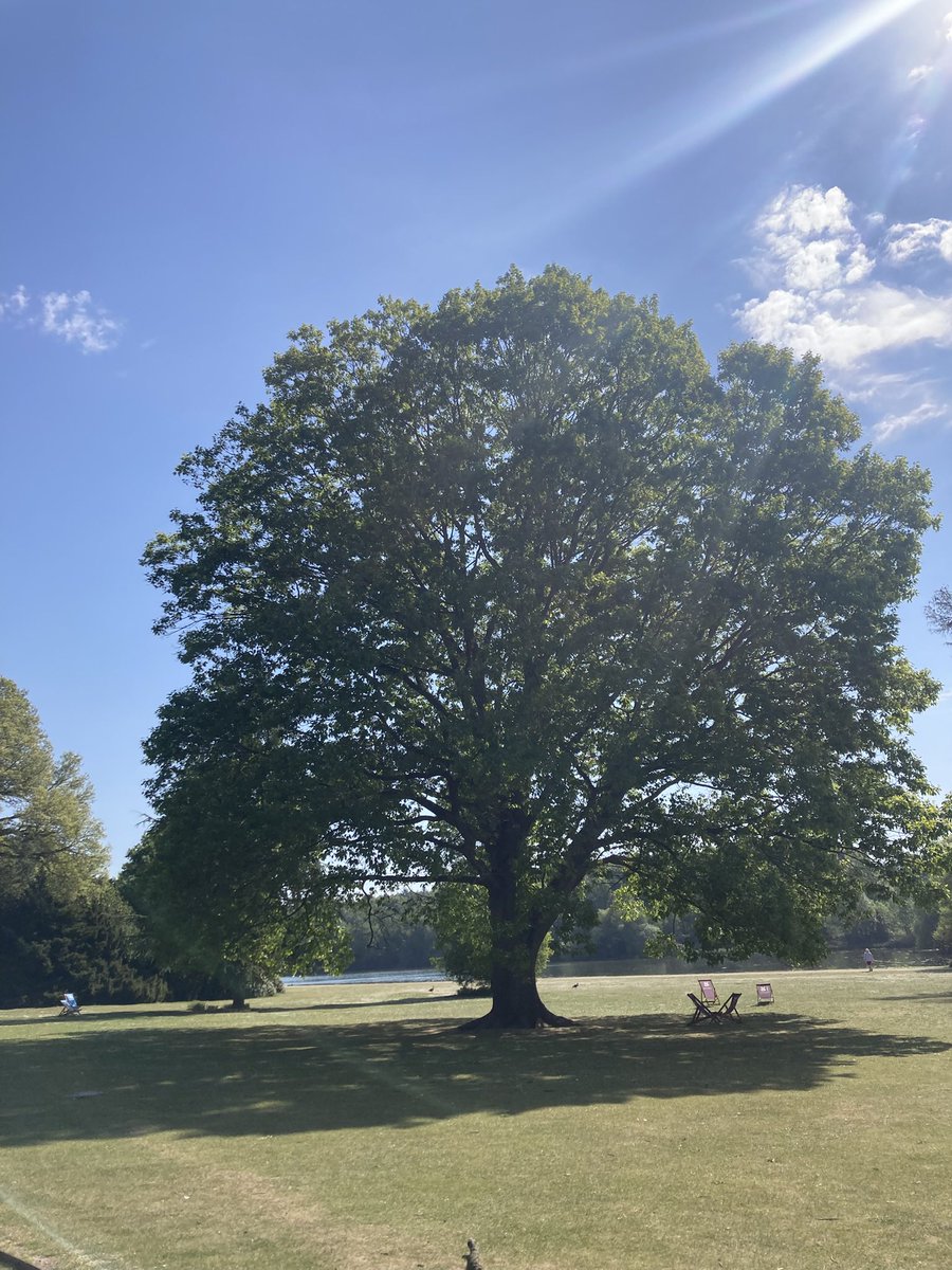 lm_orton's tweet photo. @LynnParsonsUK @NTClumberPark another beautiful day in my favourite place, Clumber Park in Nottinghamshire ☺️ https://t.co/w7OLRrsjfF