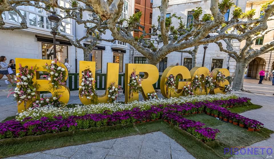 Burgosenelmundo's tweet photo. Fiesta de las Flores 2025, #Burgos florece al ritmo de la danza 
Por Pisoneto Sáez Arroyo 
#Burgosenelmundo te muestra 
#Burgospordescubrir un #BurgosDestinodeEnsueño en #BurgosTeEspera #BurgosParaiso https://t.co/UEk4vvxCzH