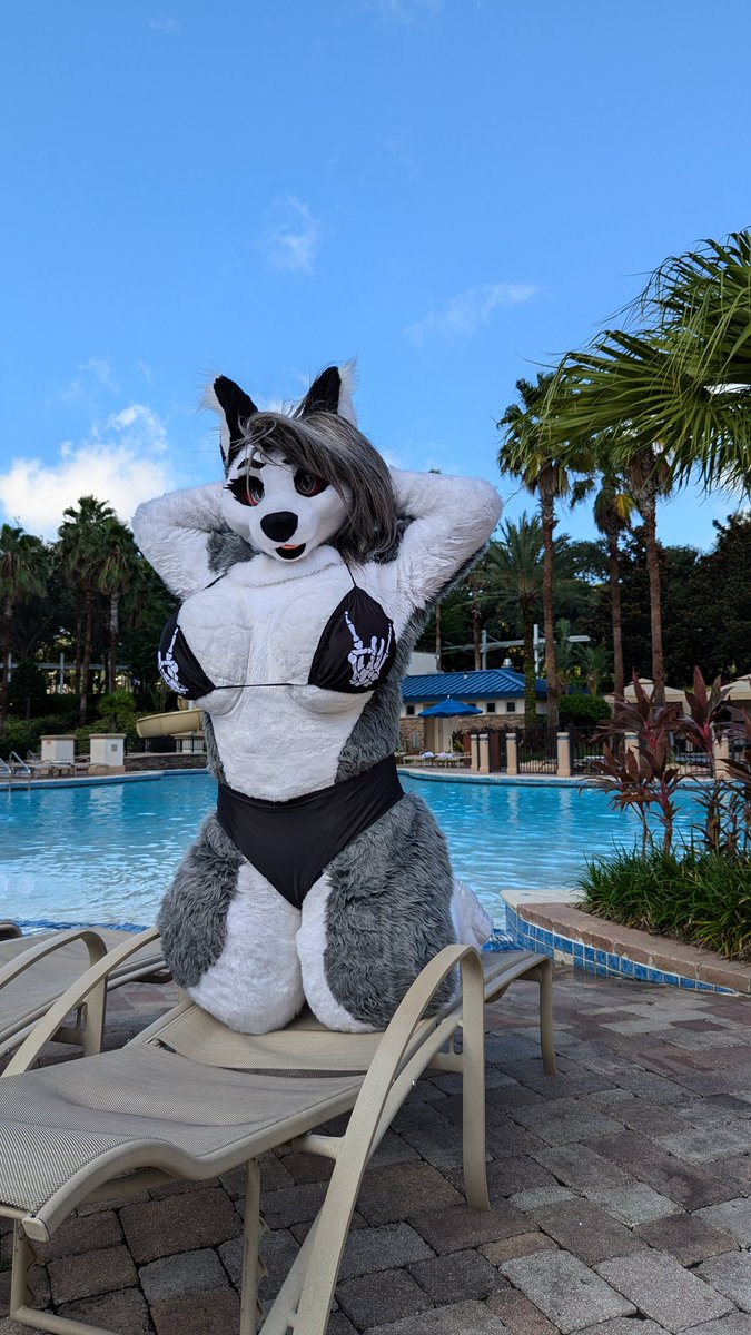 Ready for Pool Party season 🎉