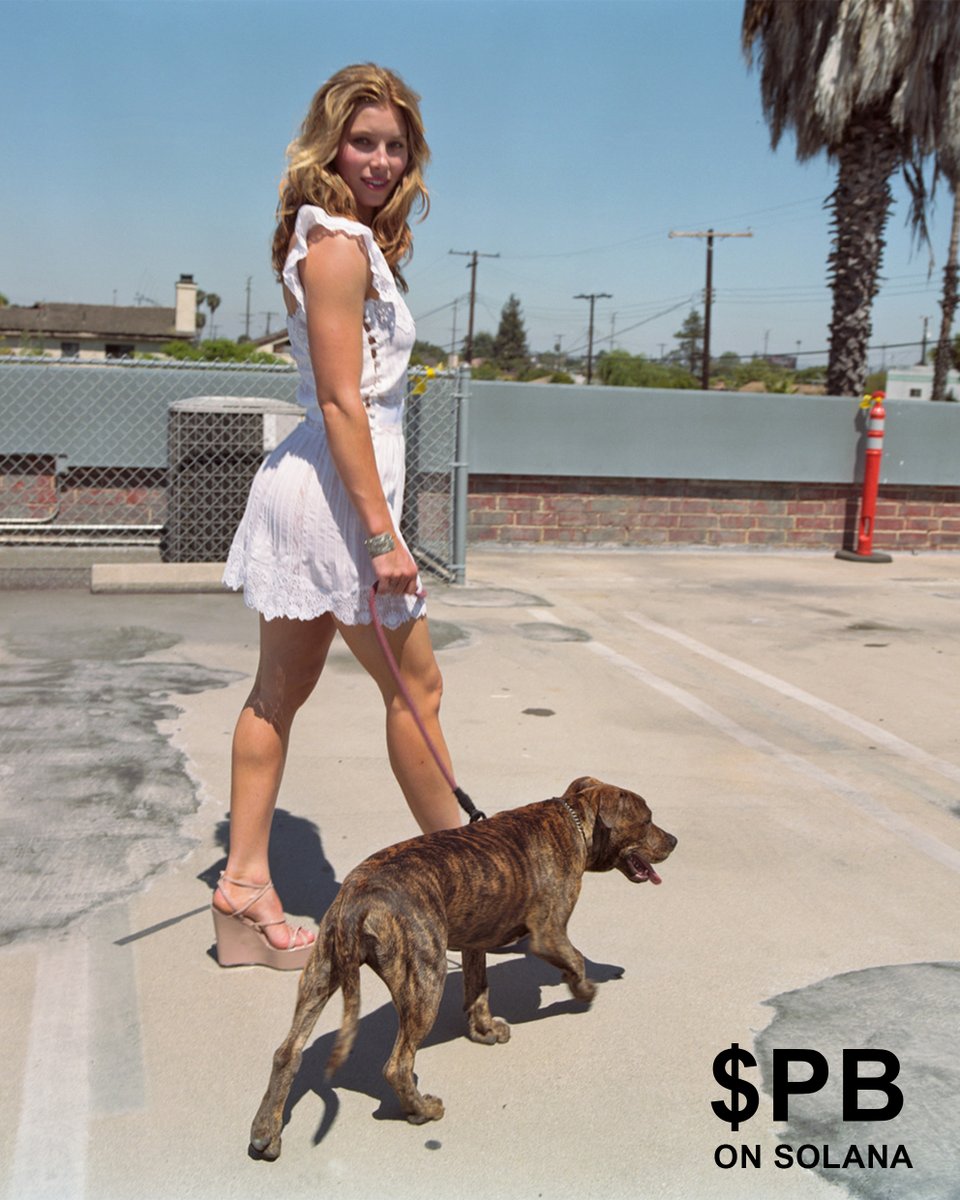 RustikTrader369's tweet photo. Cute girls love Pitbull 
$PB 🐕 

62PjM7roxP5h4t3gVGYGCG93FxHd6hkec8dRPW4Xq85 https://t.co/I4uih0YUAz