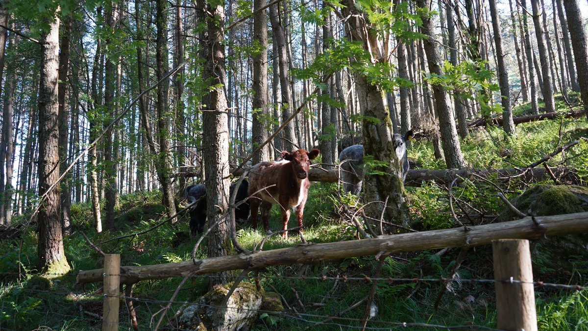 Thehullboy tweet media